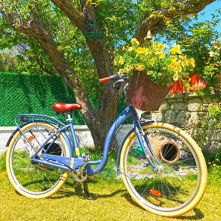 Morisi Butik Ξενοδοχείο Αλακάτι